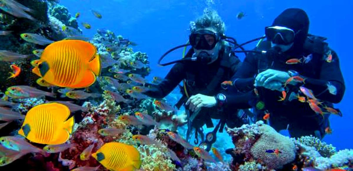 Terumbu Karang Gili Trawangan Lombok