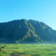 Destinasi Wisata Savana Daun Daun Sembalun Lombok