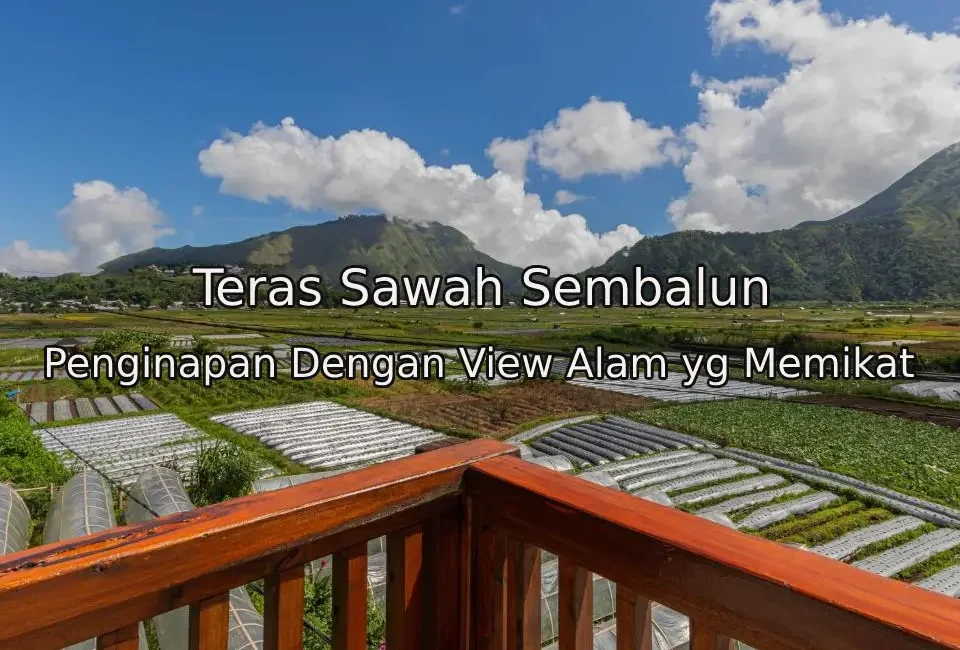 Teras-Sawah-Sembalun-Lombok