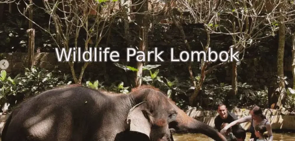 Wildlife-Park-Lombok